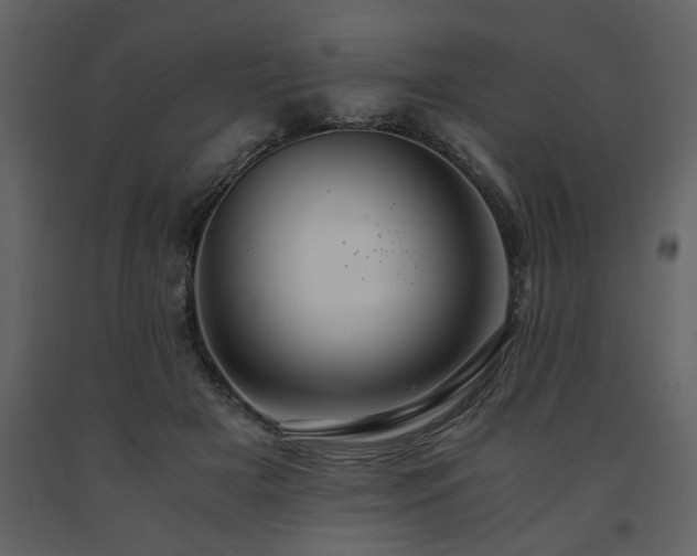 X0000091680505200708231420