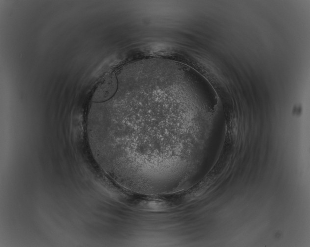 X0000091680506200708231420