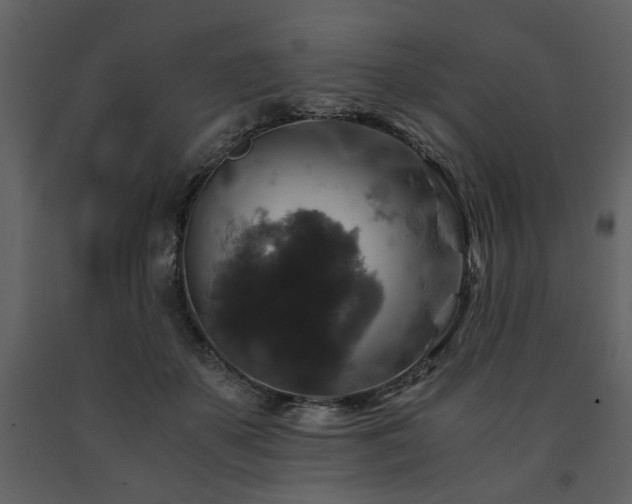 X0000091680507200708231420