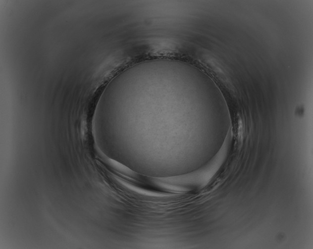 X0000091680508200708231420