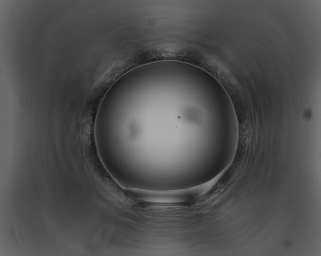 X0000091680509200708231420