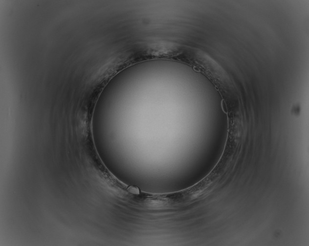 X0000091680510200708231420