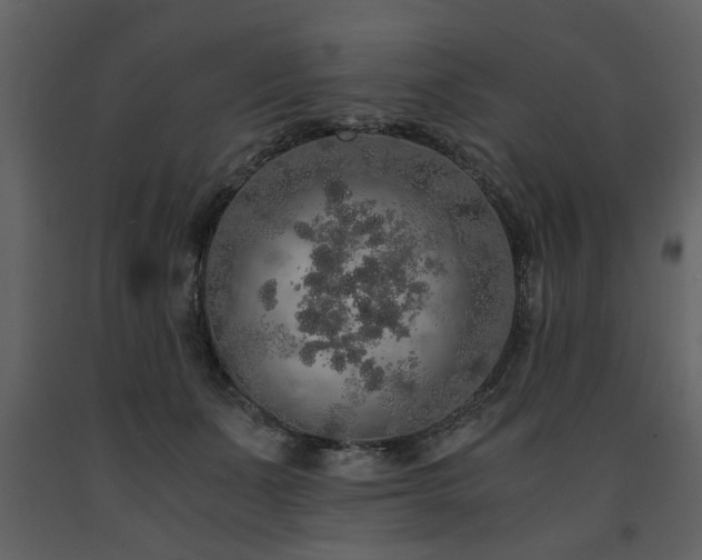 X0000091680511200708231420