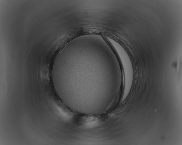 X0000091680512200708231420