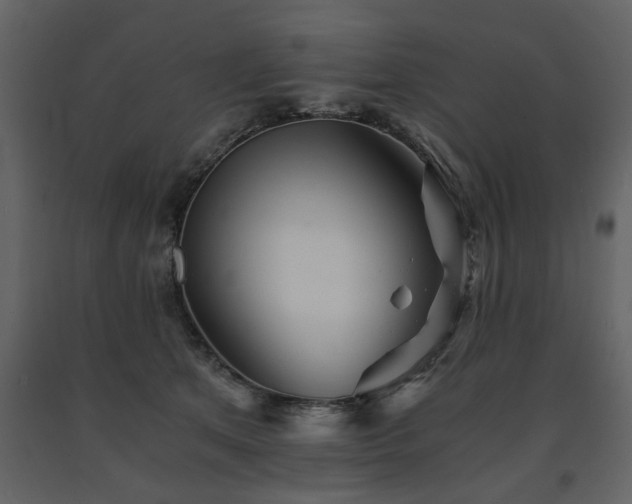 X0000091680513200708231420