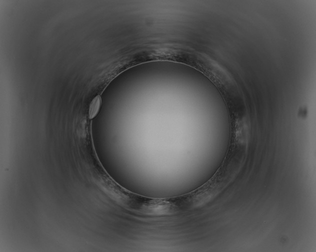 X0000091680514200708231420