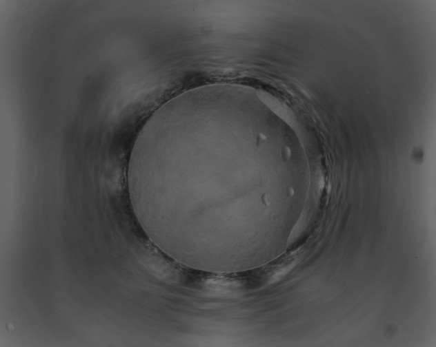X0000091680515200708231420