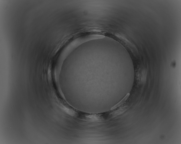 X0000091680516200708231420