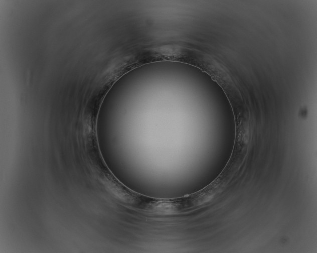 X0000091680518200708231420