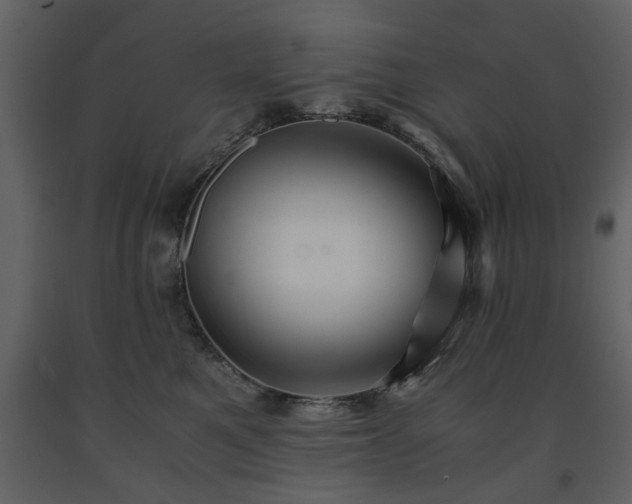 X0000091680521200708231420