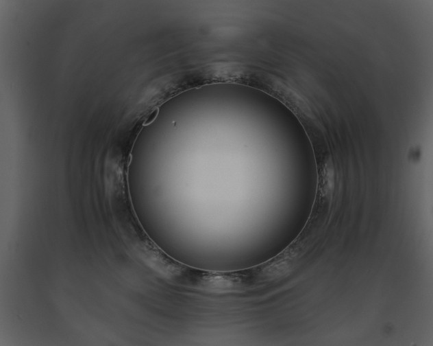 X0000091680522200708231420
