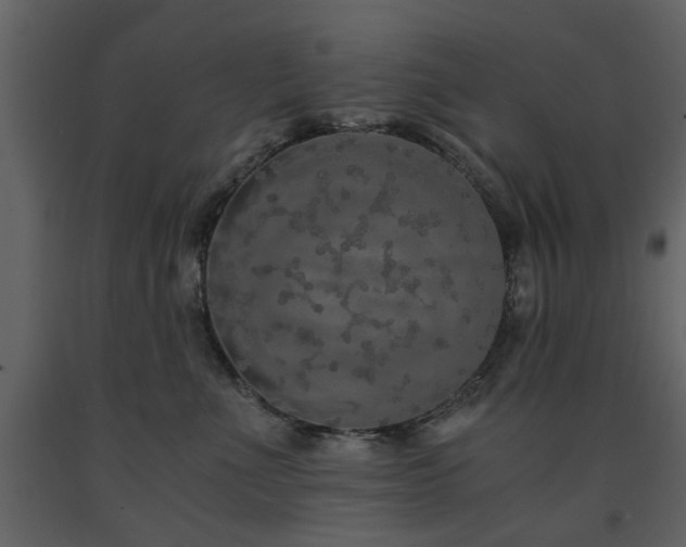 X0000091680523200708231420