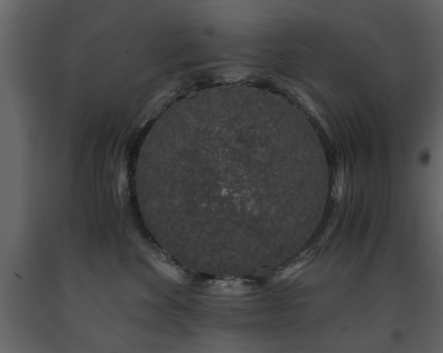 X0000091680524200708231420
