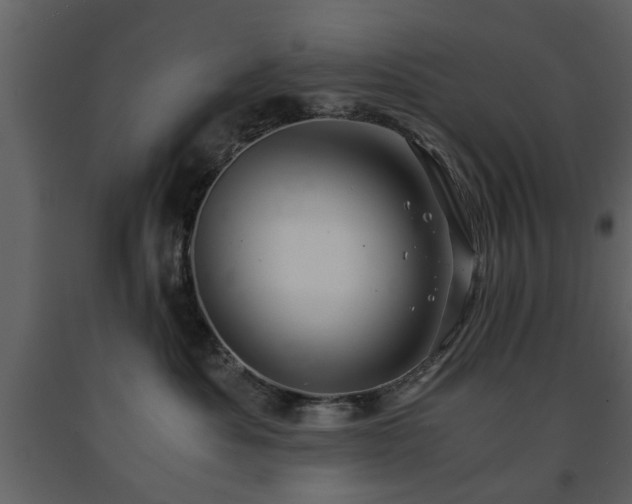 X0000091680525200708231420