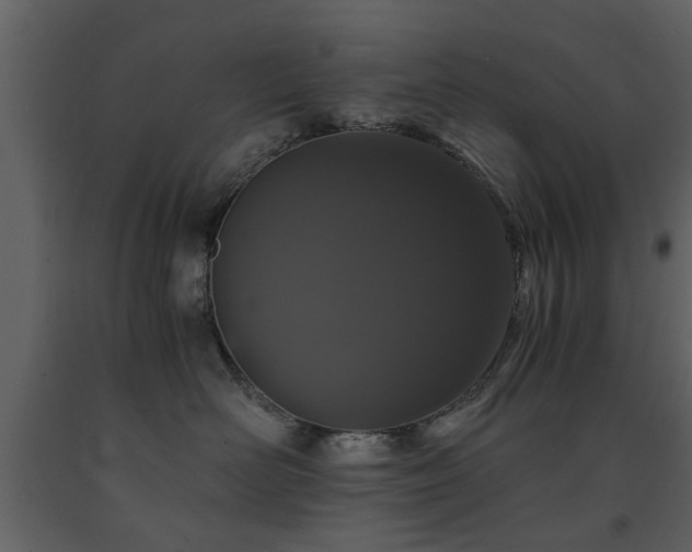 X0000091680526200708231420