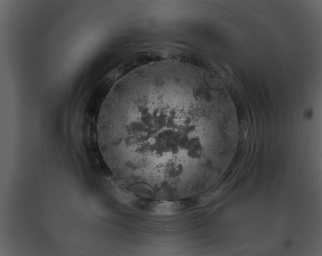 X0000091680527200708231420