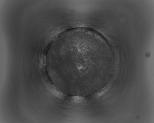X0000091680528200708231420