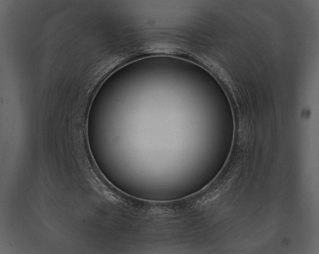 X0000091680529200708231419