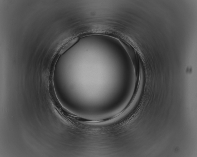 X0000091680530200708231419