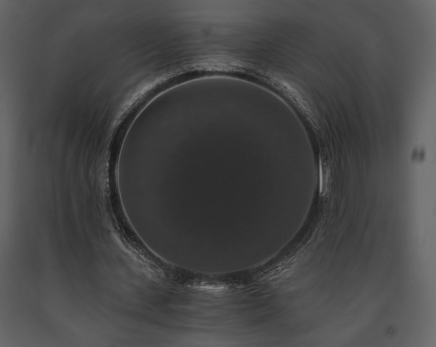 X0000091680531200708231419