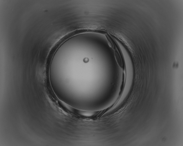 X0000091680532200708231419