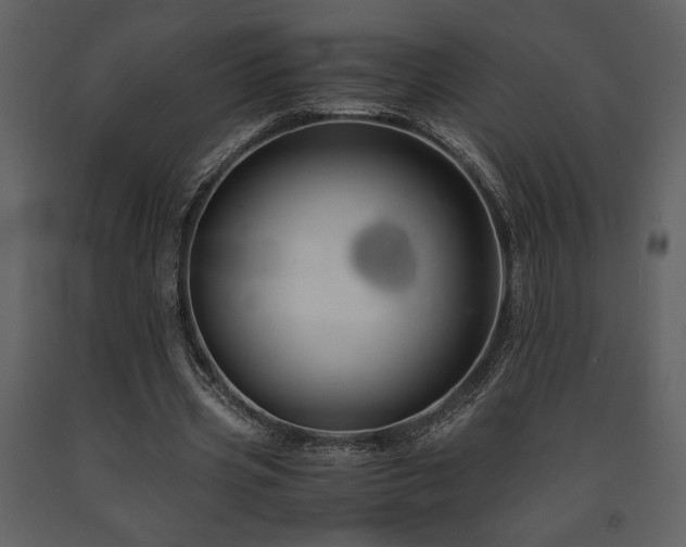 X0000091680533200708231419