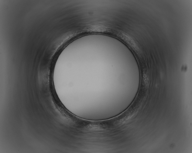 X0000091680534200708231419