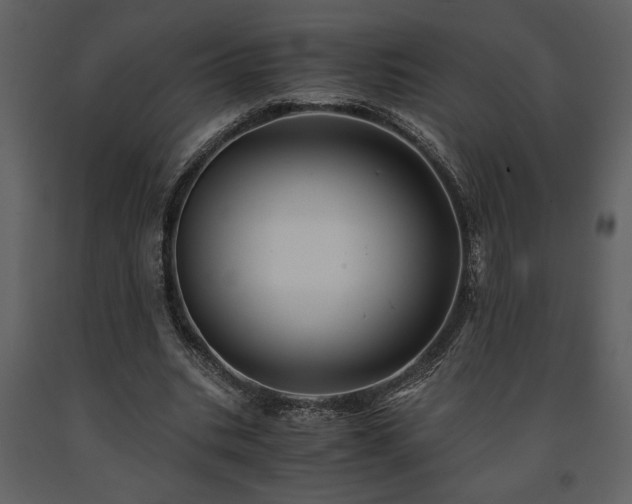 X0000091680535200708231419