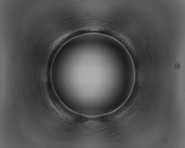 X0000091680536200708231419