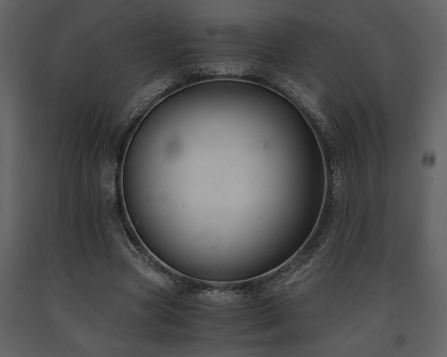 X0000091680537200708231419