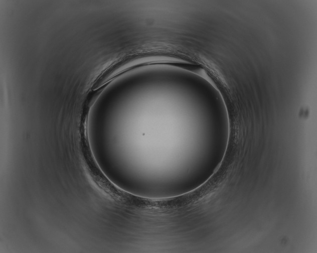 X0000091680538200708231419