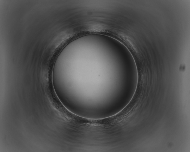 X0000091680539200708231419