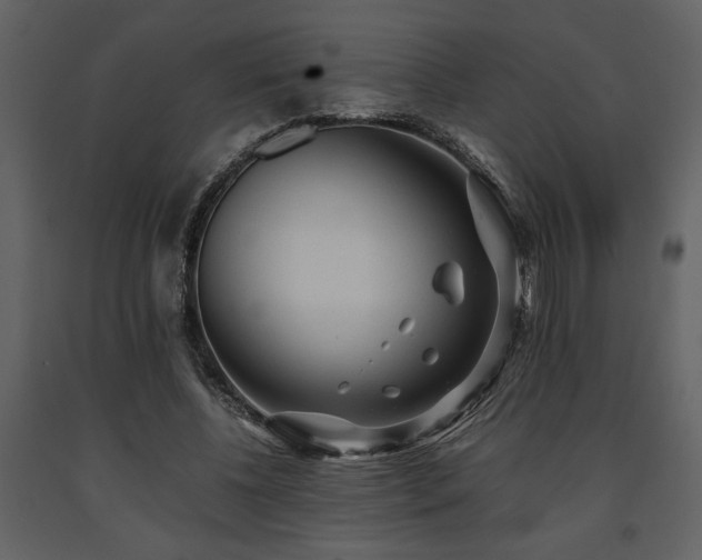 X0000091680540200708231419
