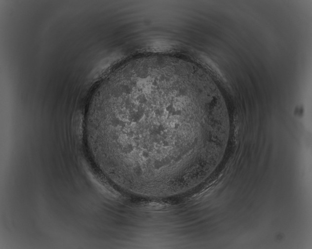 X0000091680542200708231419