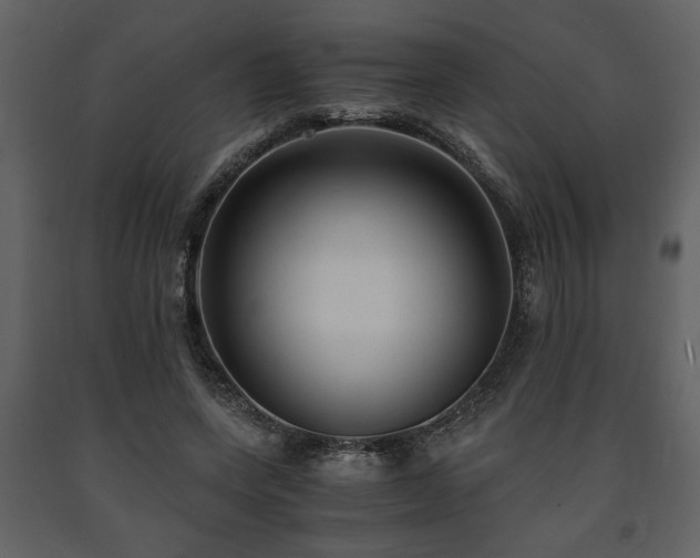 X0000091680543200708231419