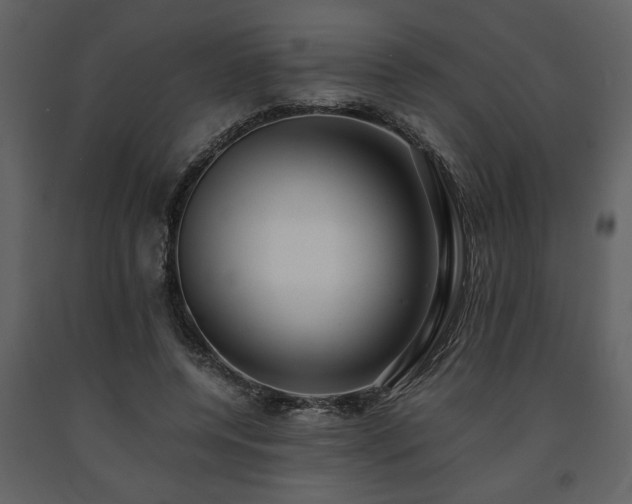 X0000091680544200708231419