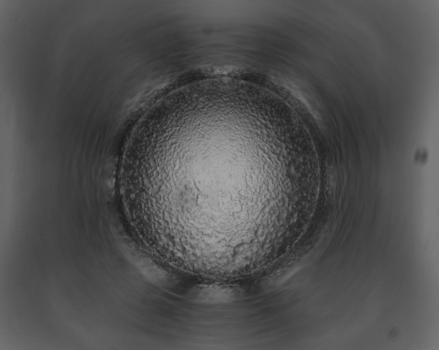 X0000091680545200708231419