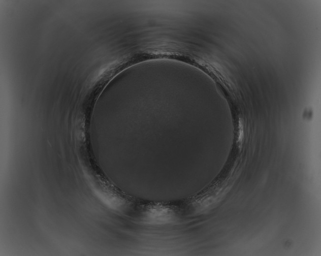 X0000091680547200708231419