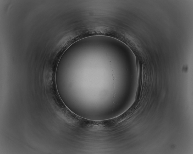 X0000091680548200708231419