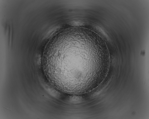 X0000091680549200708231419