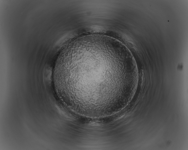 X0000091680550200708231419