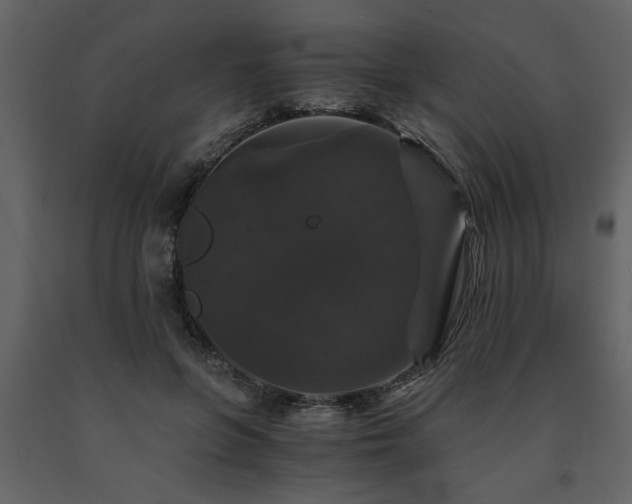 X0000091680551200708231419