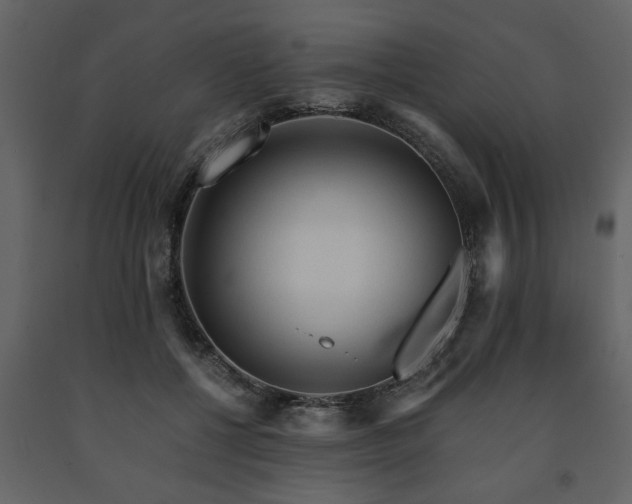 X0000091680552200708231419