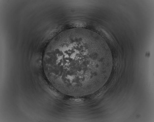 X0000091680553200708231419