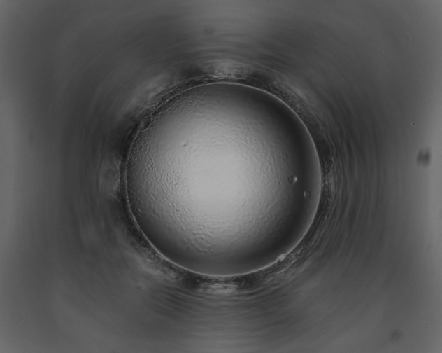 X0000091680554200708231419