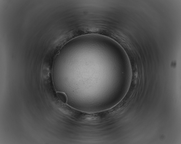 X0000091680555200708231419