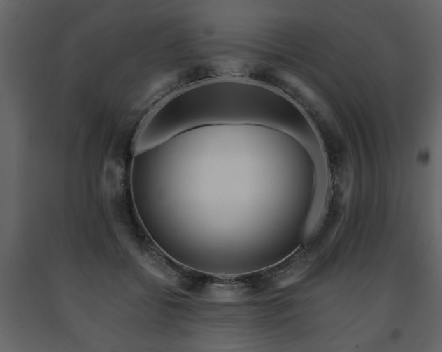 X0000091680556200708231420
