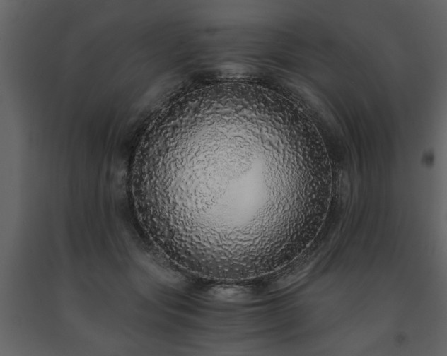 X0000091680557200708231420