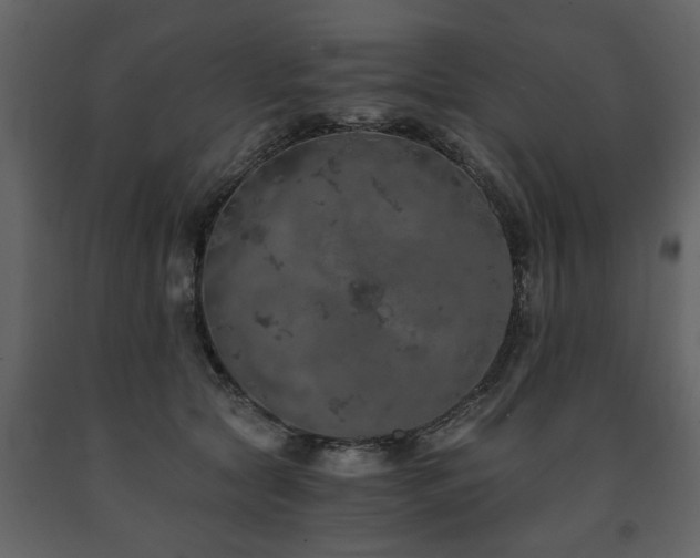 X0000091680561200708231420