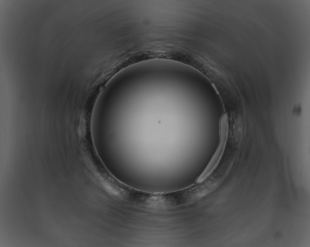 X0000091680562200708231420